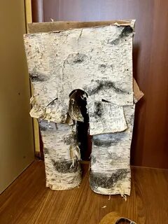 Штаны из березовой коры