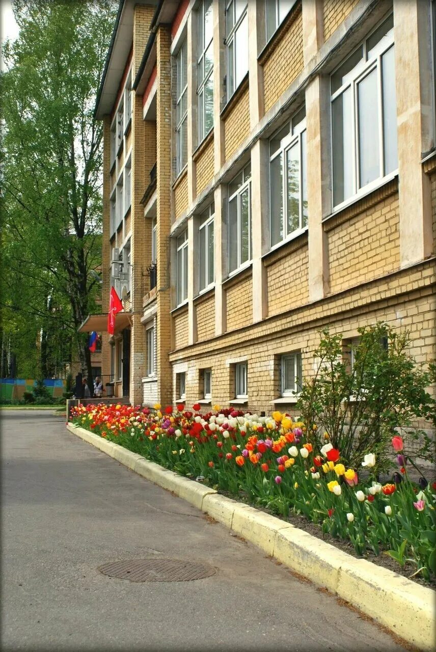 грота, санкт-петербург. школа интернат грота. грота, санкт-петербург. школа грота спб. интернат грота санкт петербург.