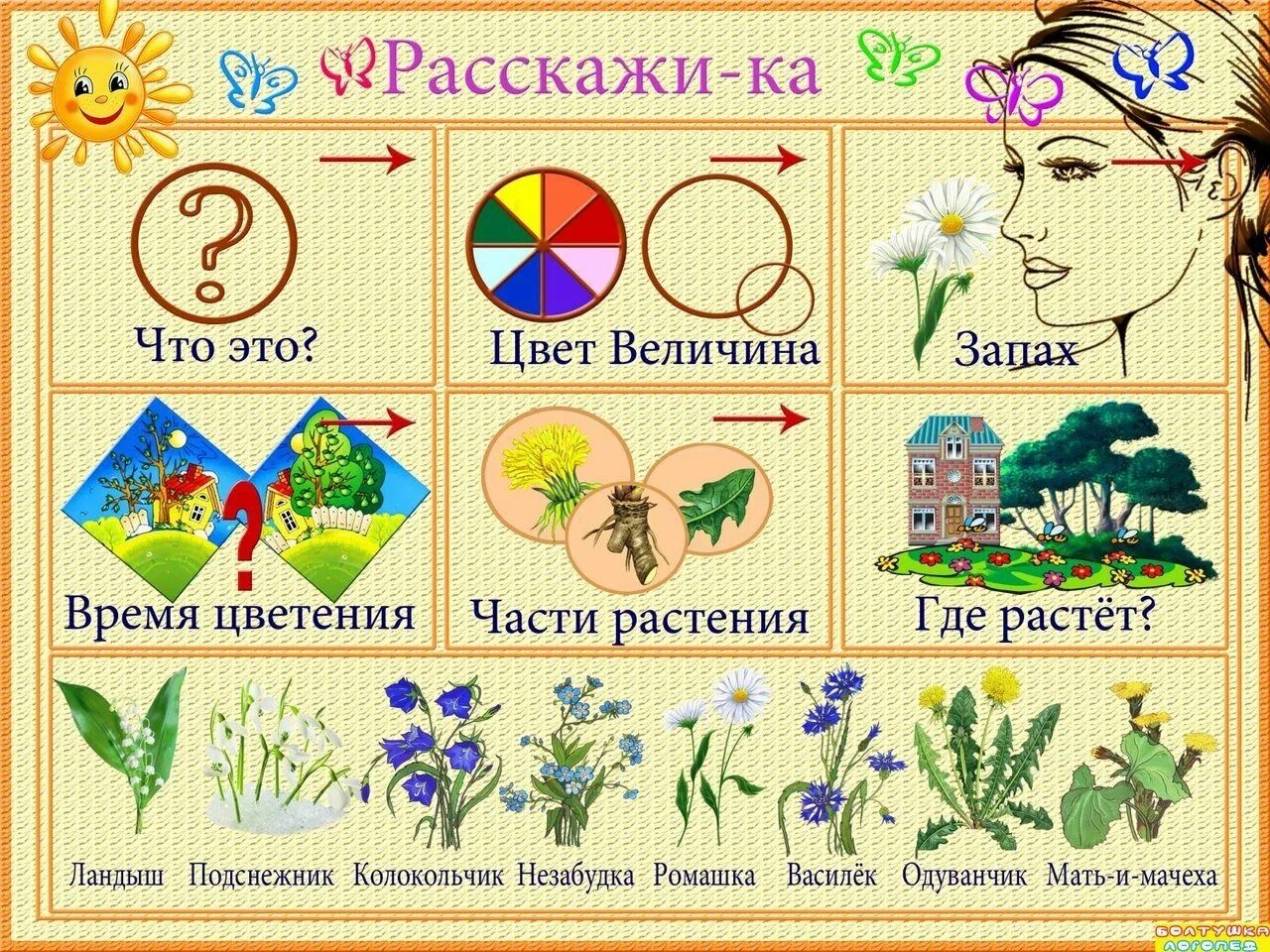 Описательный рассказ по мнемотаблице. Схемы описательных рассказов для дошкольников. Схема описания дикого животного. Описательный рассказ по мнемотаблице. Составление рассказа по мнемотаблице.