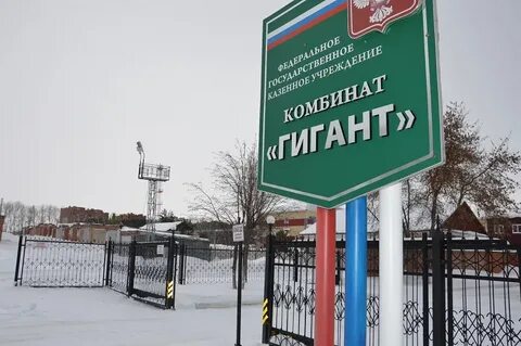 Районы бердска