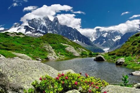 B nature