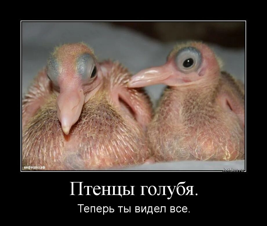 Может где нибудь видели