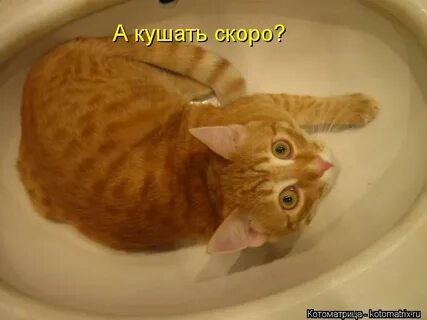 Быстро есть давай