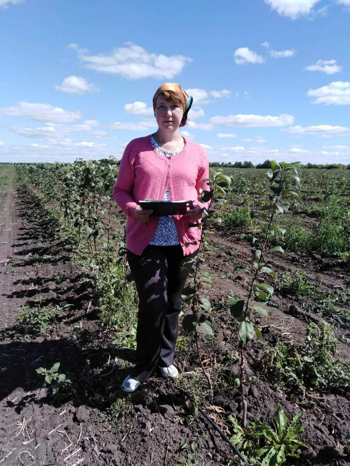 Сады приволжья в самаре. Ботанический сад удгу. Поволжский сад. Реальные фото сад на урале. Огород на даче.
