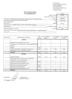 Какие отчеты сдает снт