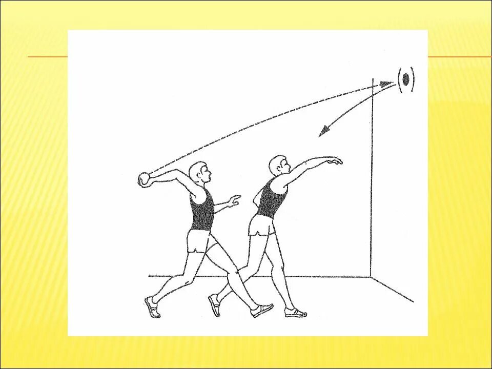 Метание теннисного мяча в вертикальную цель. Метание теннисного мяча в цель 6м. Метание теннисного мяча в цель дистанция 6 м. Метание мяча в вертикальную цель техника выполнения.