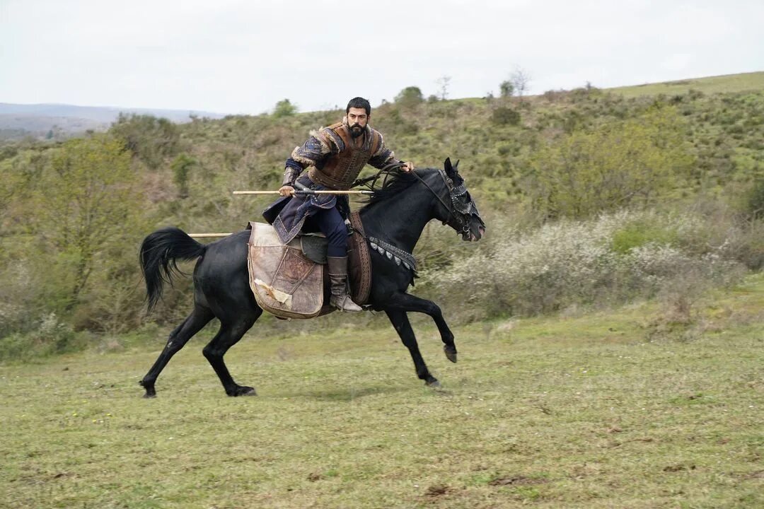 караэль лошадь осман бея. осман 165 булум. конгар основание осман. основание осман 85. аладжа осман.