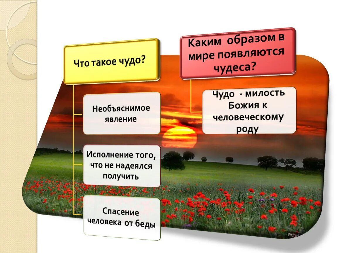 Презентация на тему: "Чудо-ягода банан".