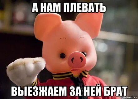 Не правда есть за что