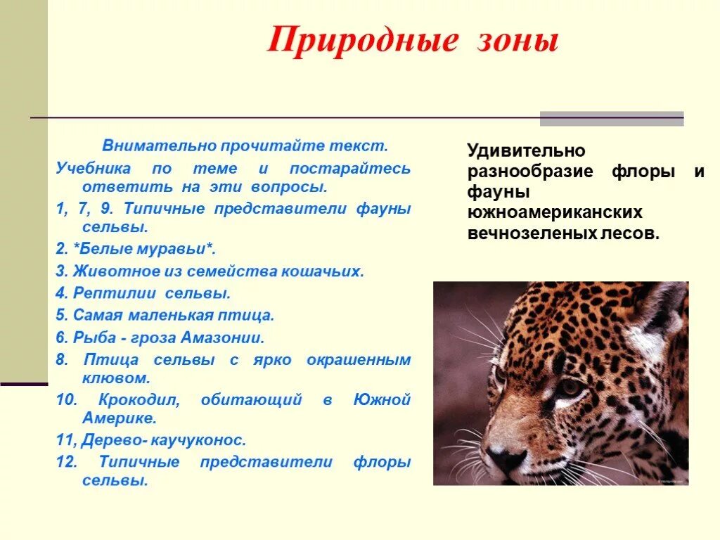 Презентация природные зоны южной америки 7 класс. Особенности природных зон Турции. Типические представители Амазонка животные. Образы животных наших природных зон в искусстве и фольклоре. Образы животных наших природных зон в искусстве и фольклоре 10 класс.