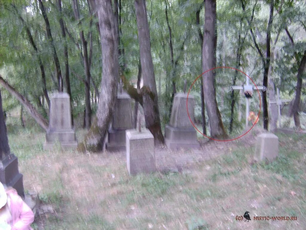 Истории про кладбища из реальной жизни