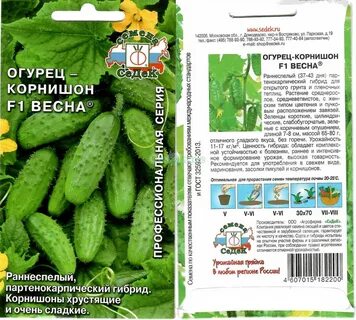 Огурцы весенние