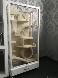 Витрина для шиншилл