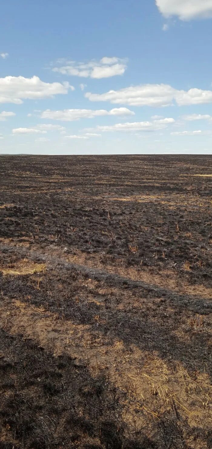 Погода в п ясногорский новосергиевского. Погода в п ясногорский новосергиевского. Ясногорский сельсовет новосергиевского. Трасса оренбург шарлык. Новосергиевская сош 2.