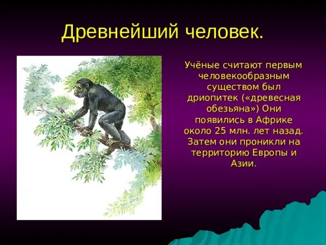 Адаптации приматов к древесному образу
