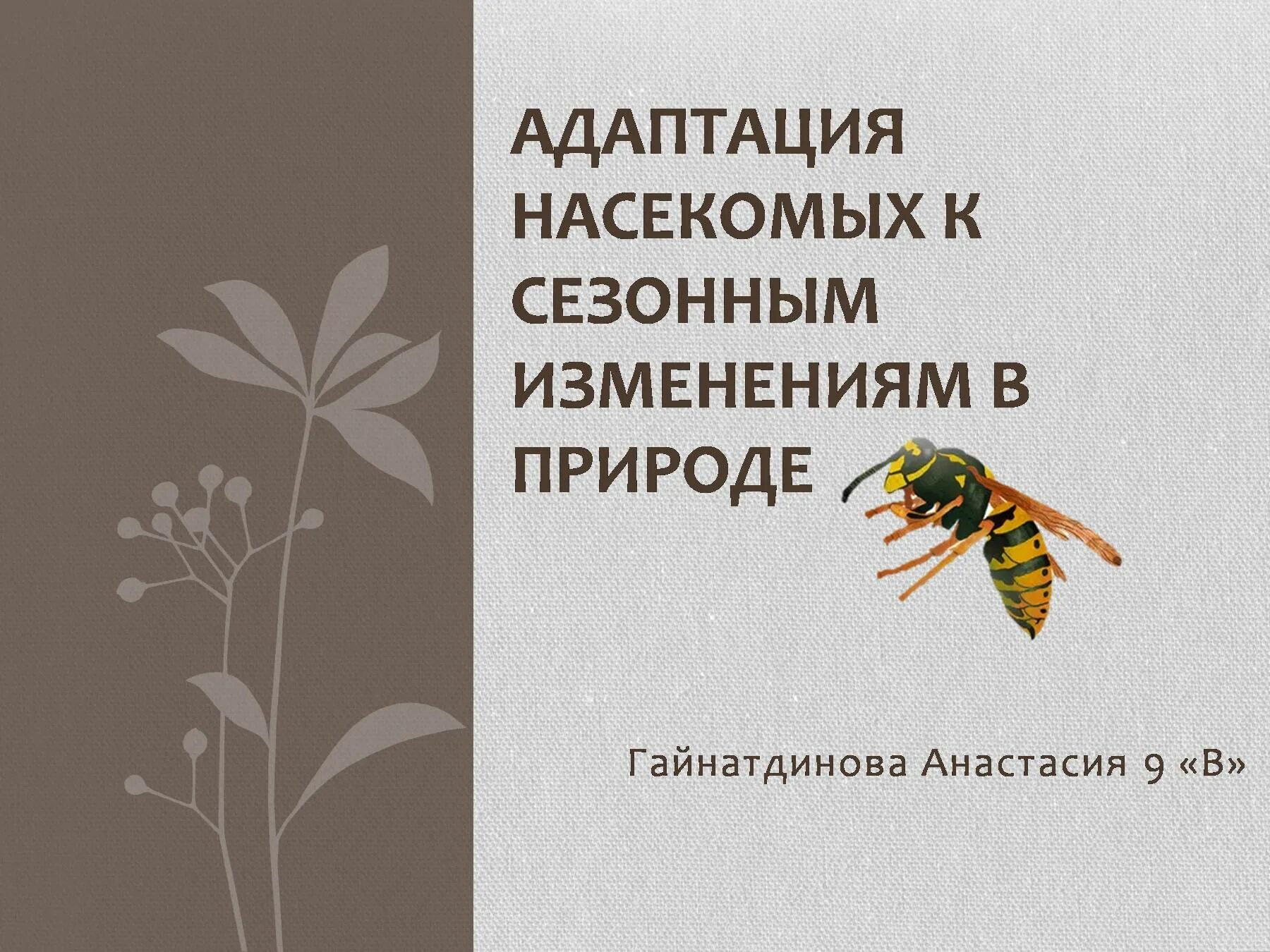 Адаптация насекомых. Адаптация насекомых к сезонным изменениям в природе. Виды адаптаций насекомых. Адаптация организмов к сезонным изменениям в природе. Адаптация насекомых к сезонным изменениям