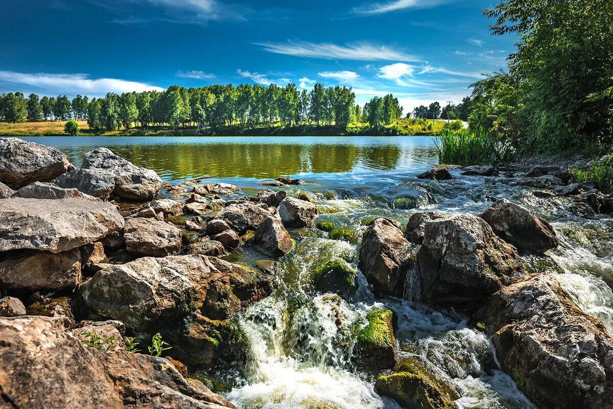 Река искитим. Река Шипуниха. Шипуновка река Искитим. Исток Шипунихи. Ложок Новосибирская область природа.