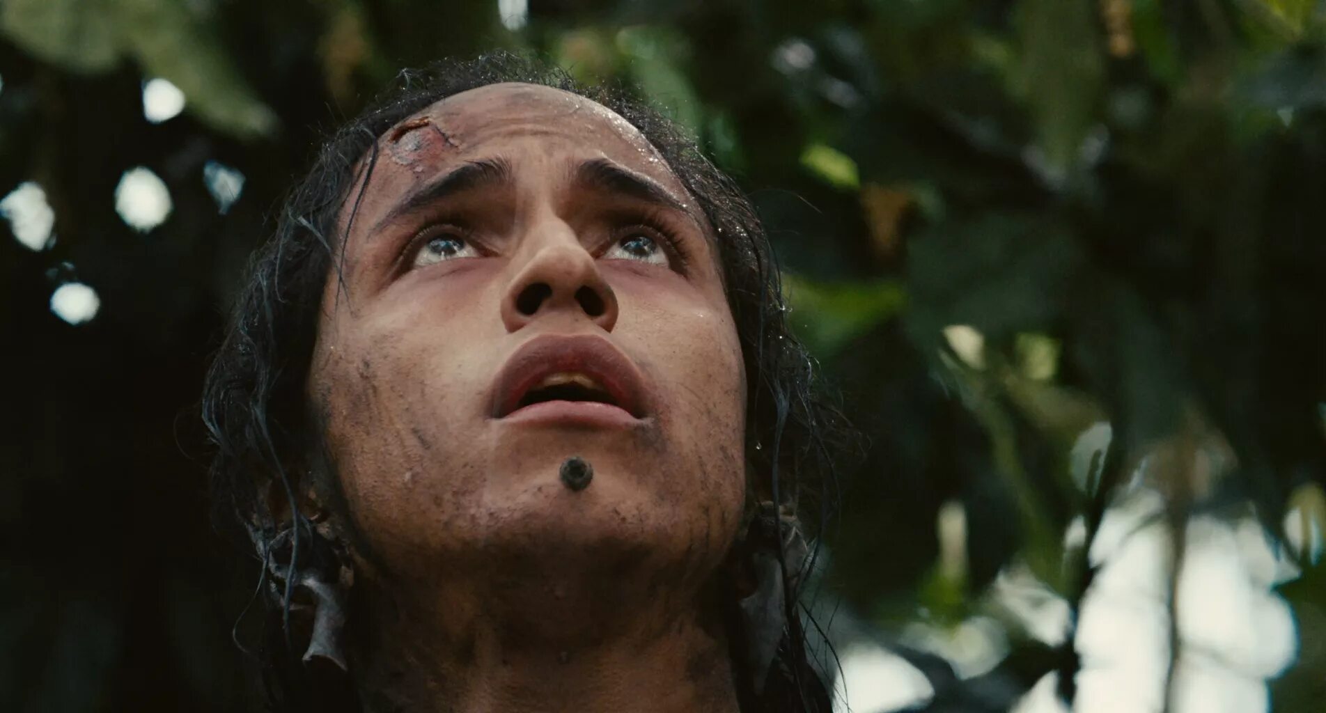 Мэл гибсон апокалипто. Апокалипто 2006 мэл гибсон. Фильм апокалипто 2006 рауль трухильо. Апокалипсис фильм 2006 индейцы. Апокалипсис 2006.