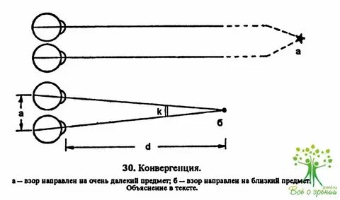 Конвергенция глаз