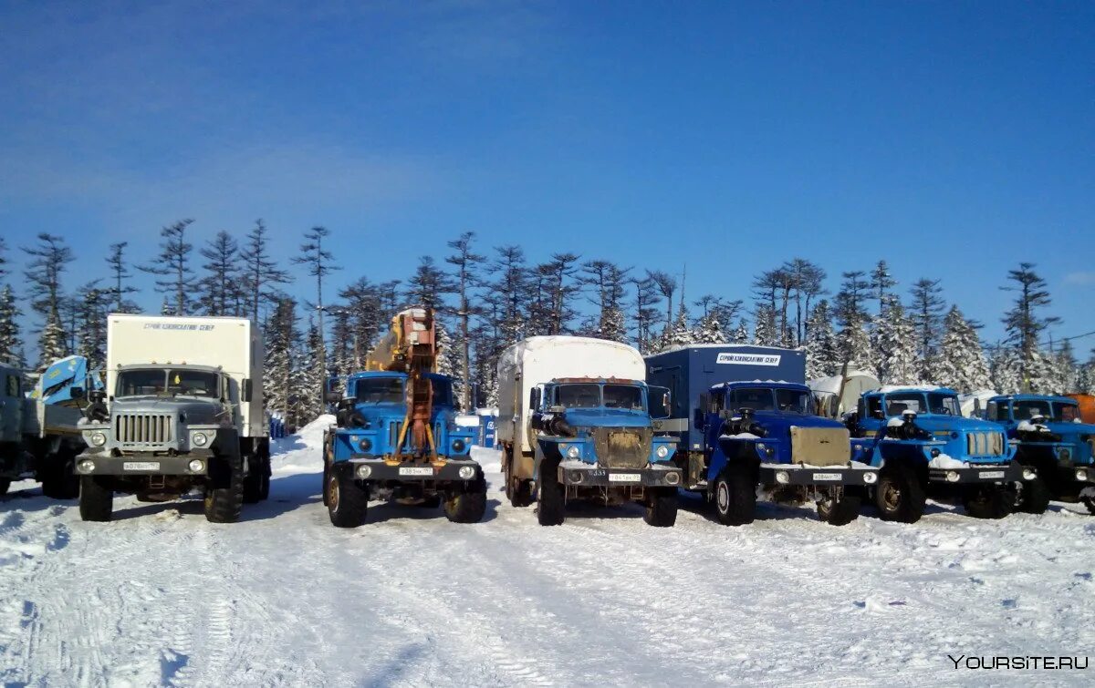 Дальнобойщики севера. Зимник усинск 2023. Грузовики на зимнике. Камаз 43118 дальнобой. Камаз ямал самосвал.