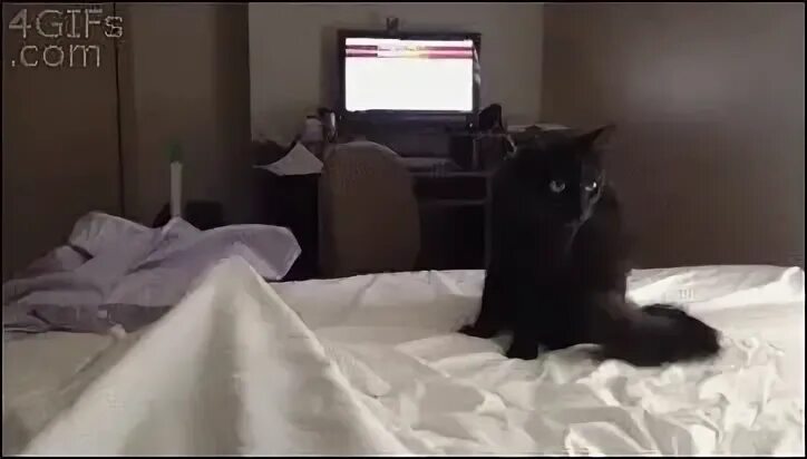 Внезапно выскочить