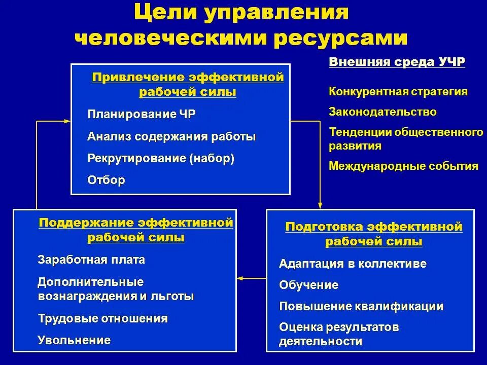 Курсовая работа управление человеческими ресурсами. К общим целям управления человеческими ресурсами относятся. цели управления человеческими ресурсами. презентация на тему управление человеческими ресурсами. задачи управления человеческими ресурсами в организации.