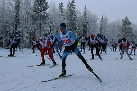 Лыжный спорт в кольском