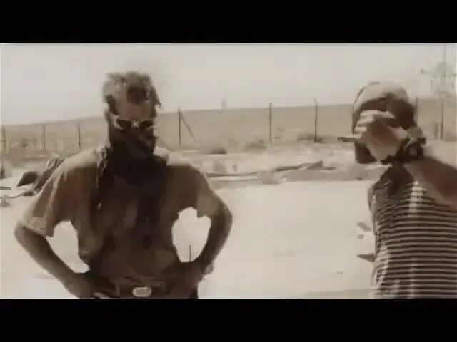 Волк джамбо видео