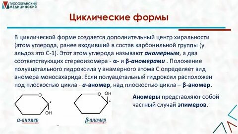 К циклическим формам музыки относятся