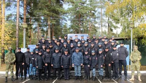 Полиция сосново