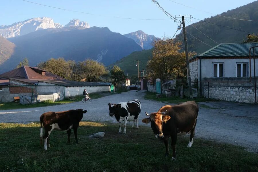 Балта Северная Осетия. Село Балта. Балта Владикавказ. Балта Северная Осетия фотографии.