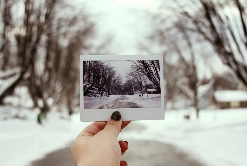 Вы как зимнее воспоминание. Зимние полароиды. Фотокарточки на снегу. Снимки с полароида зима. Снимок зима полароид в руке.