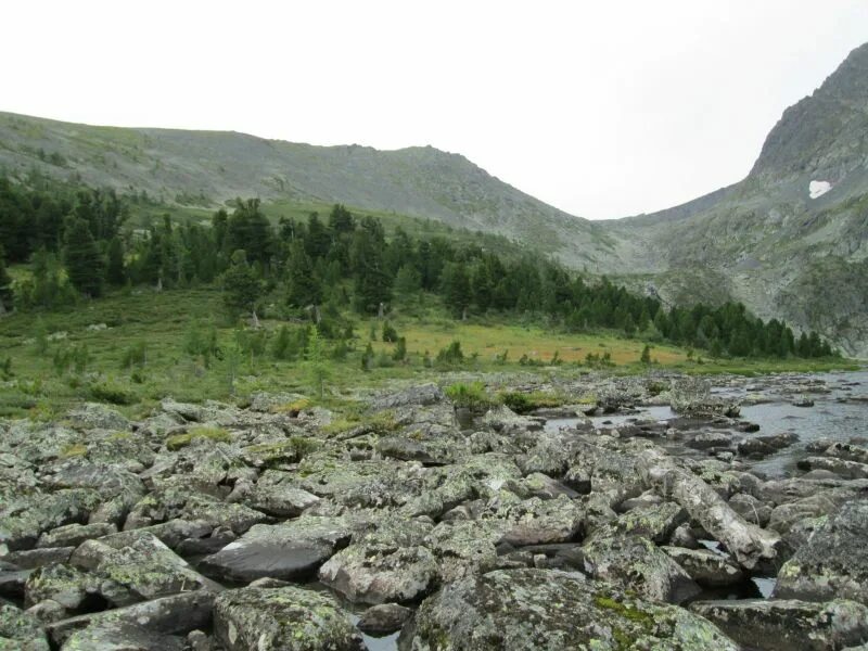 усть ионыш чарышский район алтайский край. погода малый бащелак алтайский край. чарышский район село малый бащелак. большой бащелак чарышский район алтайский край. село малый бащелак чарышского района алтайского края.