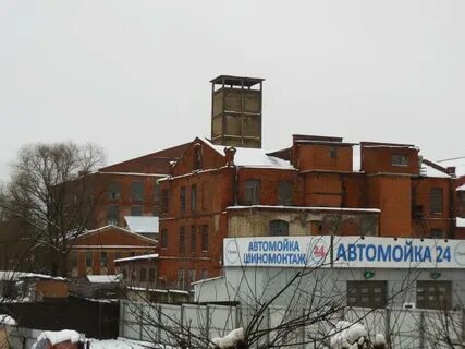 Лобня красная поляна