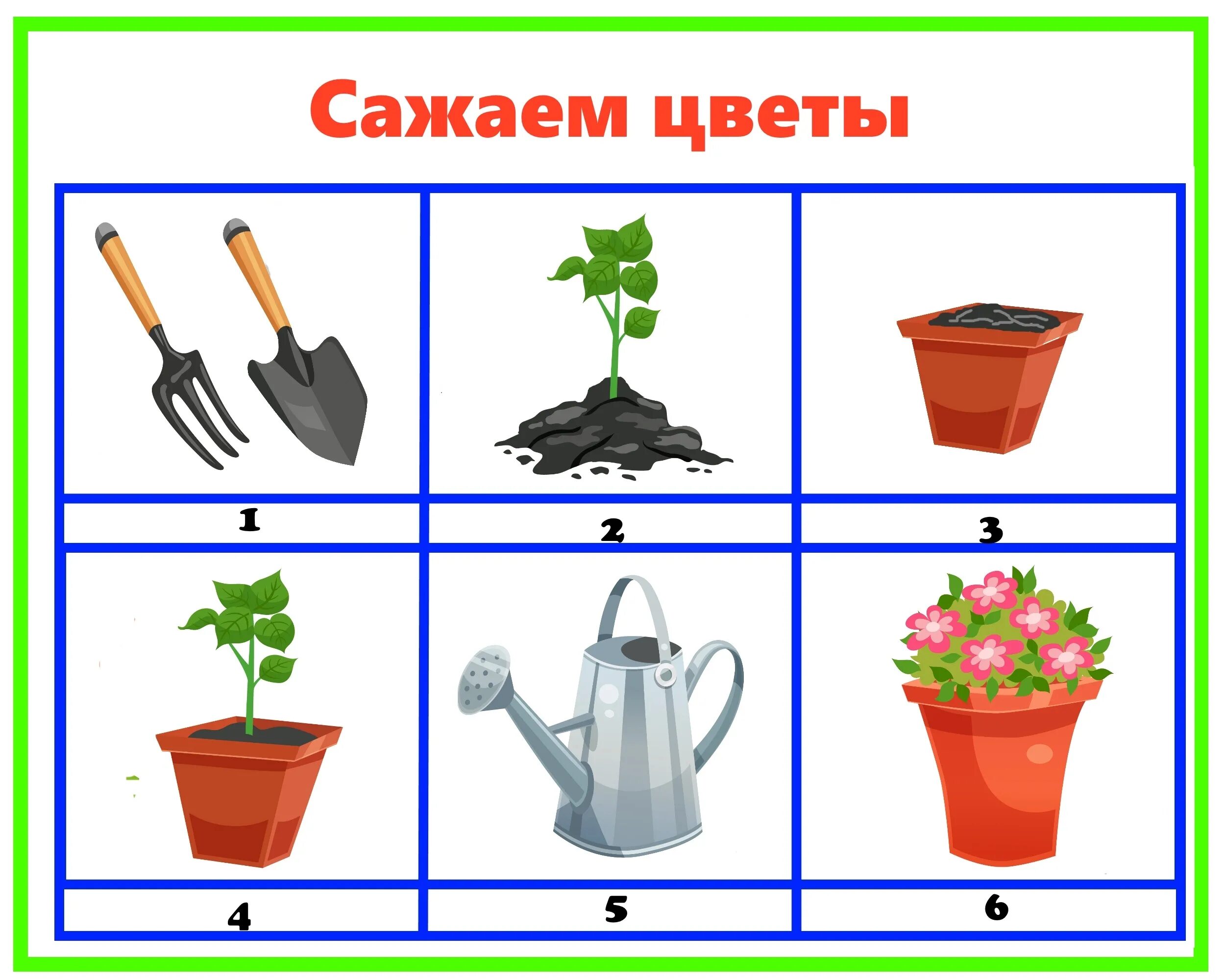 Картинки с комнатными растениями для детского сада. Алгоритм ухода за растениями для детей. Алгоритм ухода за цветами для дошкольников. Алгоритм ухода за растениями в ДОУ. Алгоритмы действий для дошкольников.