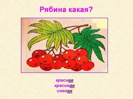 Падеж слова рябине