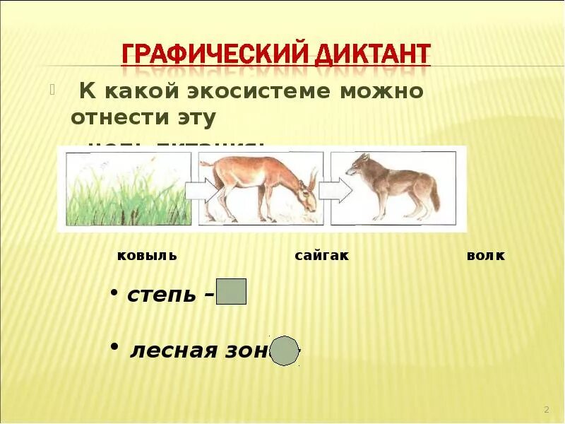 Пищевая цепь пустыни, пример - как составить?