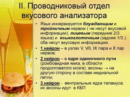 Проводниковый отдел вкусовой системы