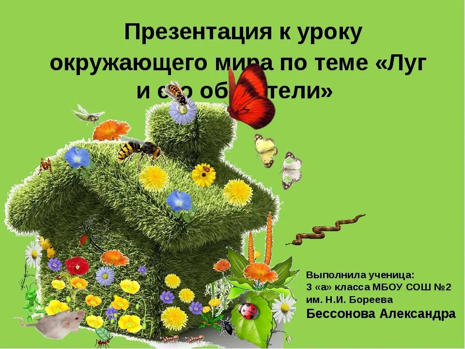 Луг царство цветов и насекомых тест. Презентация на тему луг и его обитатели. доклад про луг и его обитатели. луг и его обитатели 3 класс конспект урока. проект на тему луг и его обитатели.