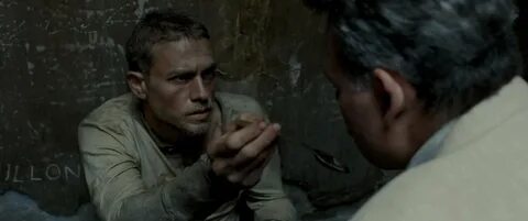 Papillon 2017