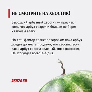 Загадка про дыню