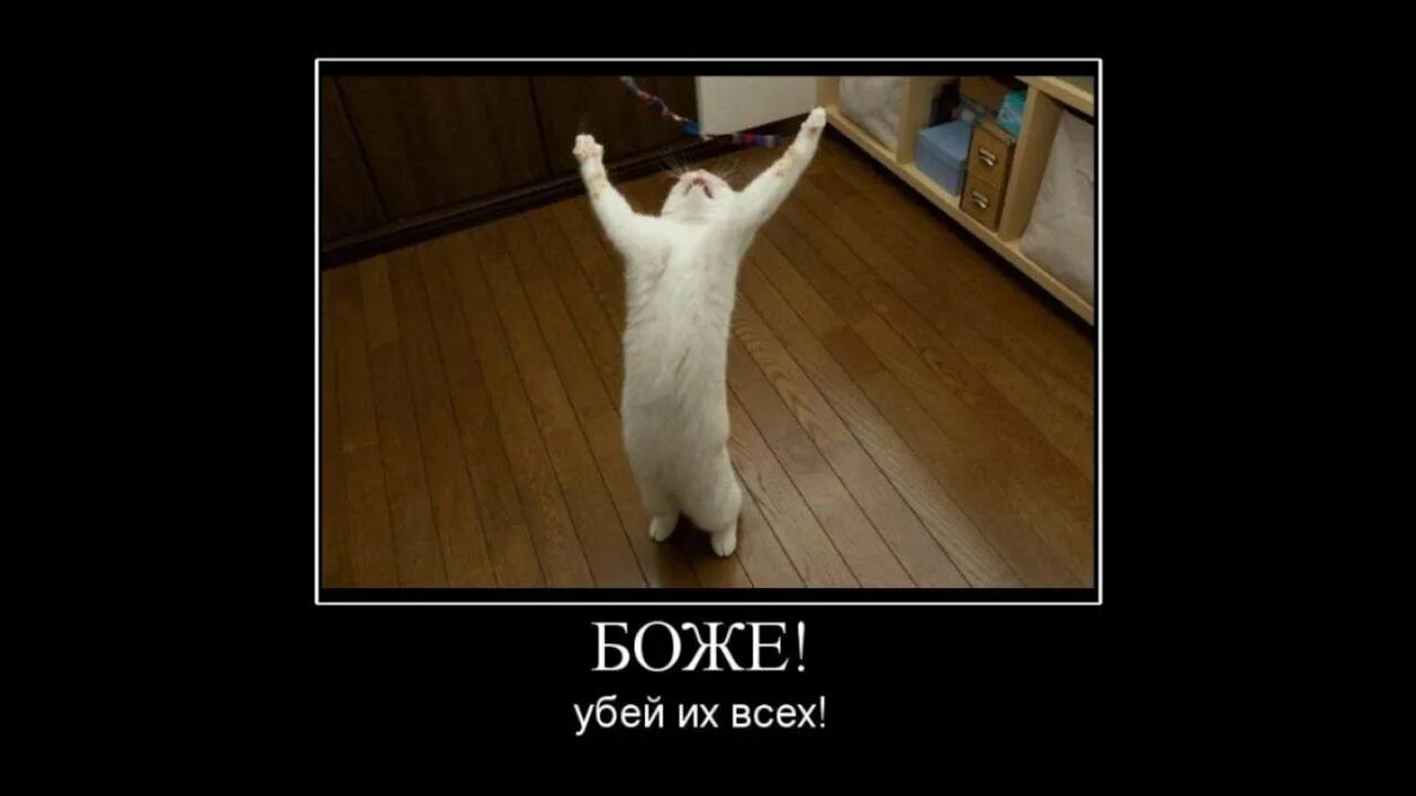 Когда то что то открывалось