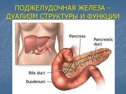 Поджелудочная невралгия