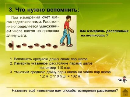 Пару метров в длину