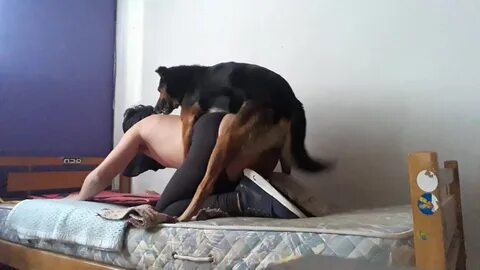 Se la folla el perro - Con un perro xxx - Mí perro me ama - ZooSkool Videos...