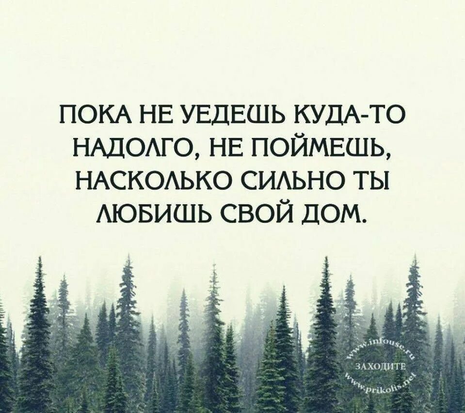 И происходит в нужное время. Цитаты. Молчание цитаты. Высказывания про молчание. Интересные цитаты.