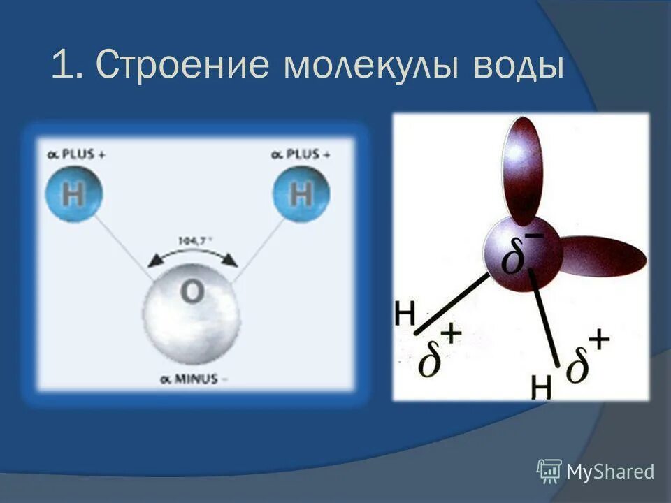 Строение молекулы воды. Молекула воды схема. Схематическое изображение молекулы воды. Структура молекулы воды.