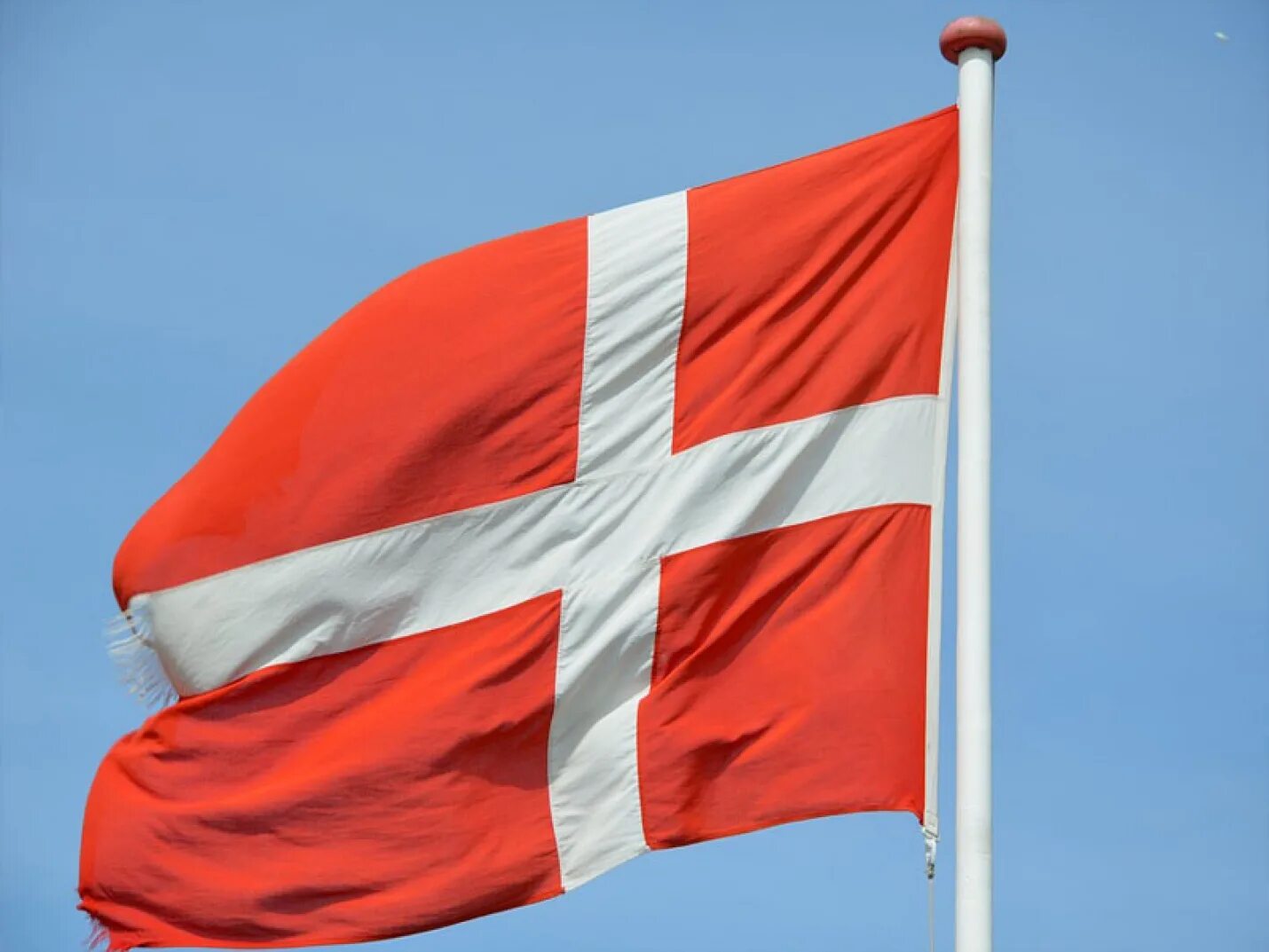 Как выглядит флаг дании. Флаг Дании. Денмарк флаг. Флаг флаг Дании.