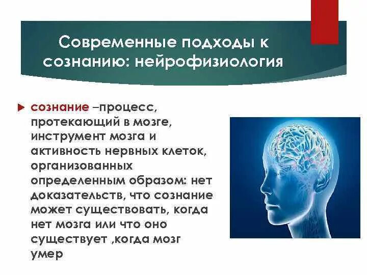 Нейрофизиология сознания. Нейрофизиологические основы сознания. Нейрофизиология мозга. Нейрофизиология мышления и сознания. Мозг без сознания