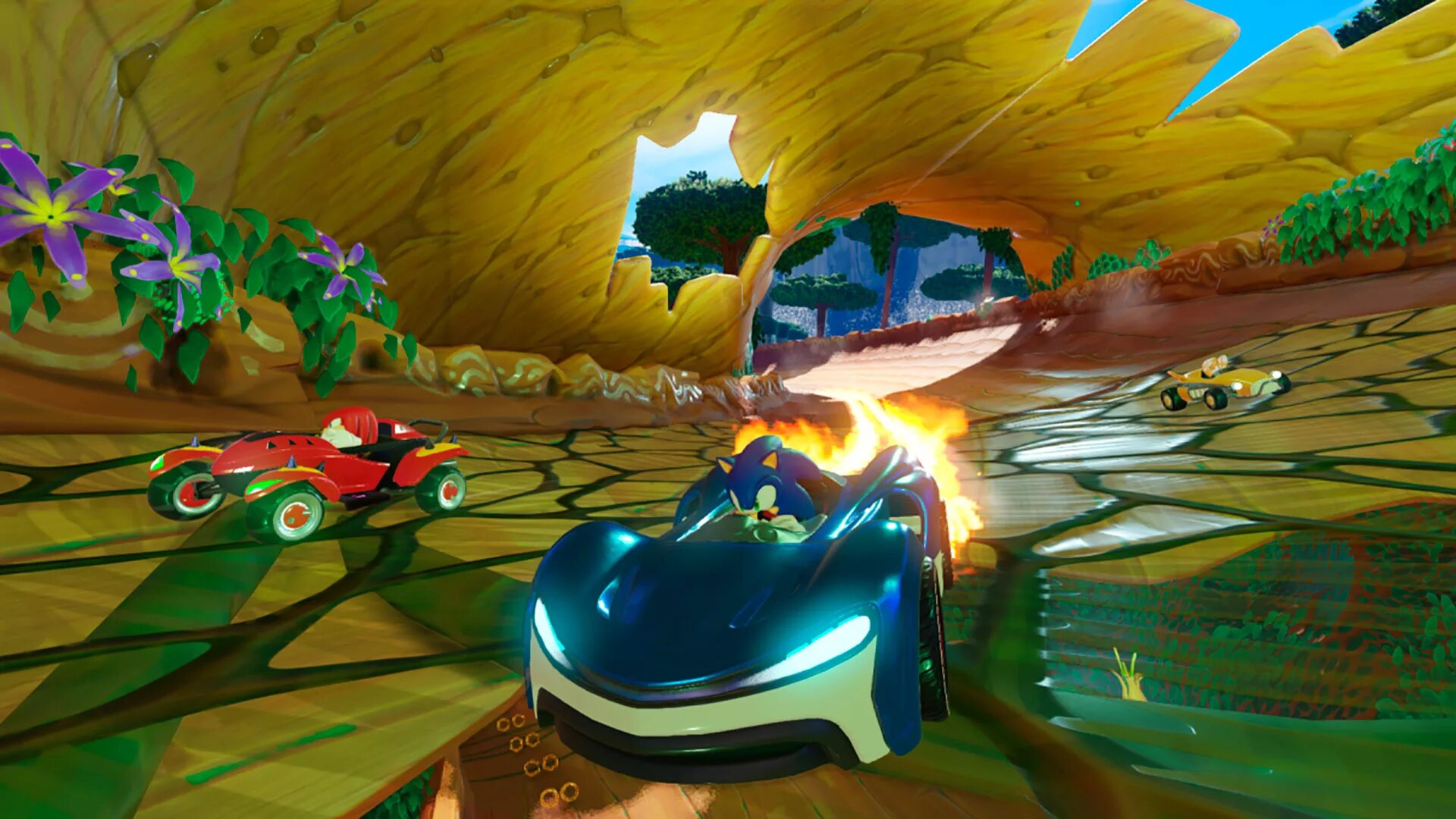 Team Sonic Racing (ps4). Team Sonic Racing 30th Anniversary Edition. Sonic Racing ps4. Team Sonic Racing [Xbox one].